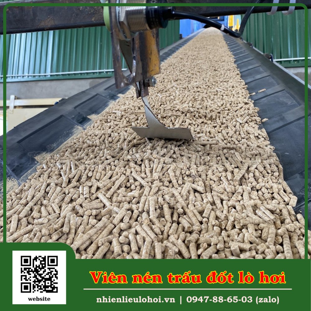 Nhiên liệu viên nén trấu, viên nén trấu đốt lò hơi, Biomass, nhiên liệu đốt lò hơi